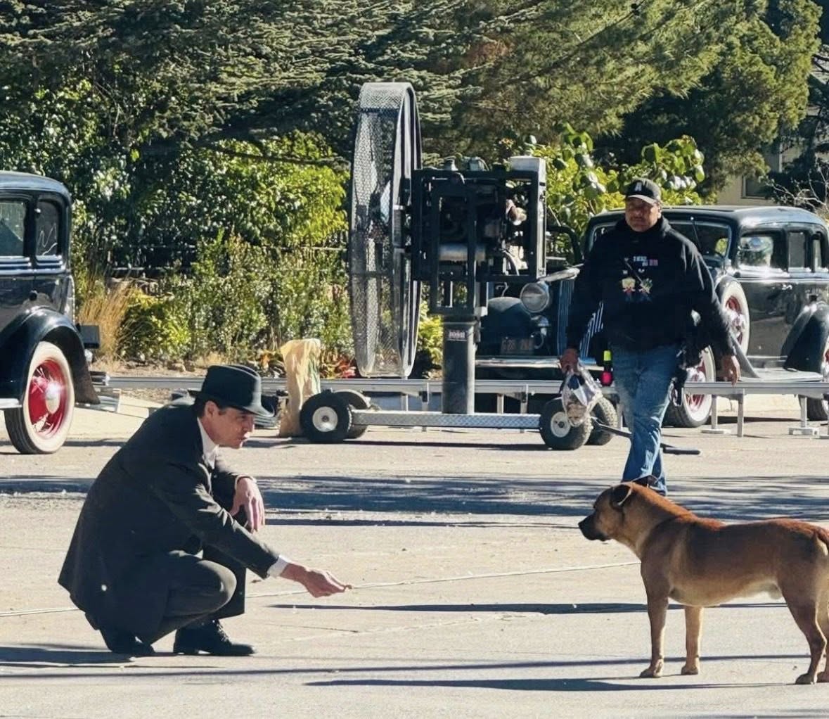Pedro Pascal graba película QUEER en Sonora