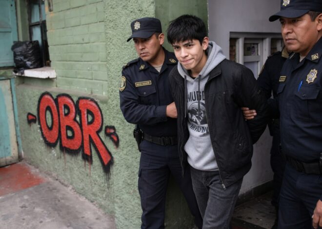 Cuando el amor enfrenta la realidad ¿Tu hijo es delincuente?