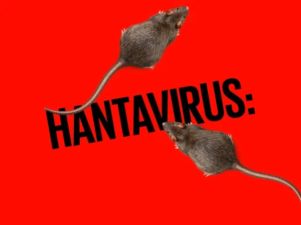 OMS analiza posible contagio de hantavirus