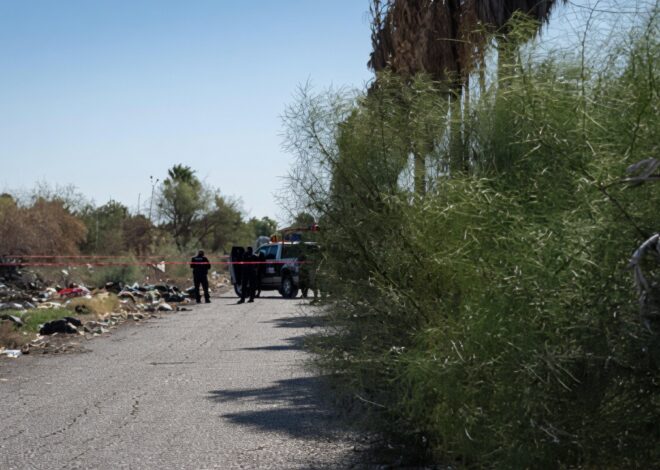 Localizan cuerpo en terreno enmontado