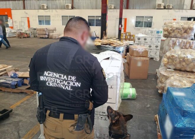 Decomisan 145 kilos de crystal en paquetería de HMO