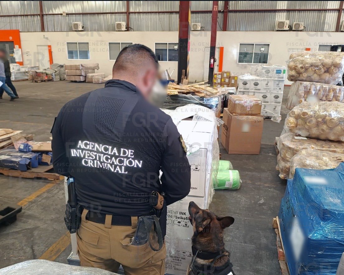 Decomisan 145 kilos de crystal en paquetería de HMO