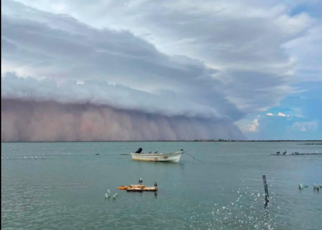 Tormenta de arena impacta Sonora