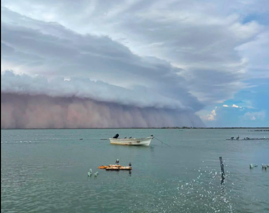 Tormenta de arena impacta Sonora