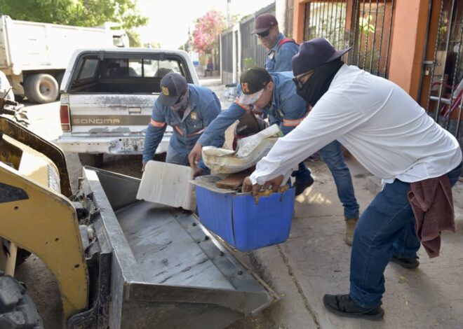 Prevención comunitaria contra enfermedades por vector también en HMO