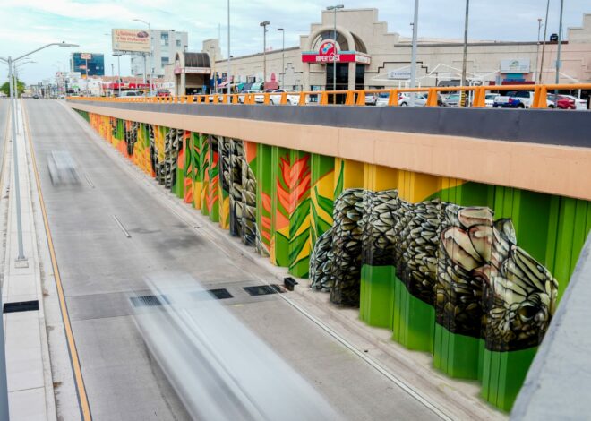 El arte transforma un paso a desnivel en HMO