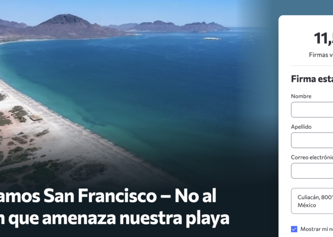 Piden frenar malecón en San Carlos