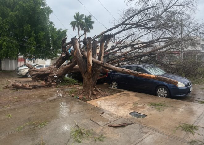 Lluvia con granizo provoca afectaciones en OBR