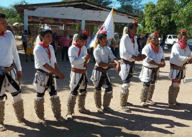 Buscan rescatar la cultura yoreme