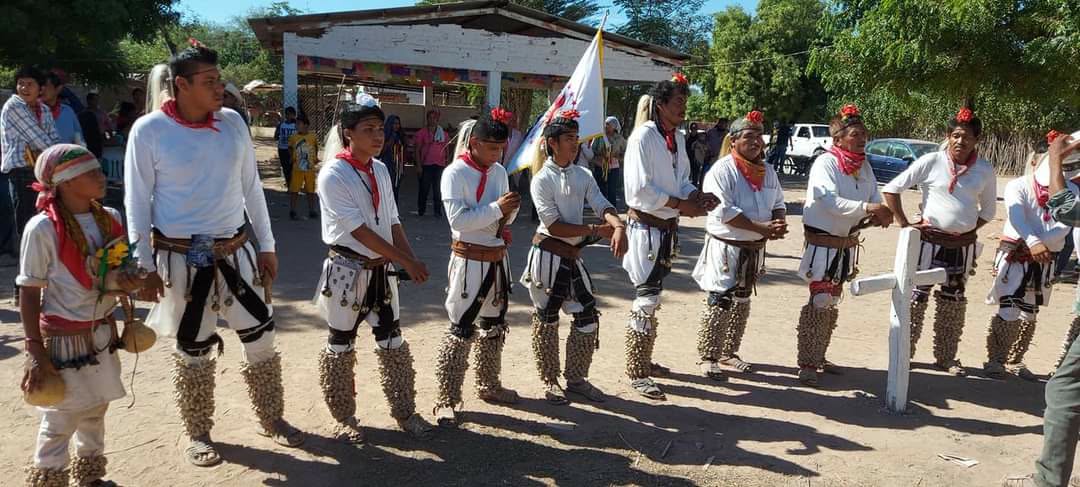 Buscan rescatar la cultura yoreme