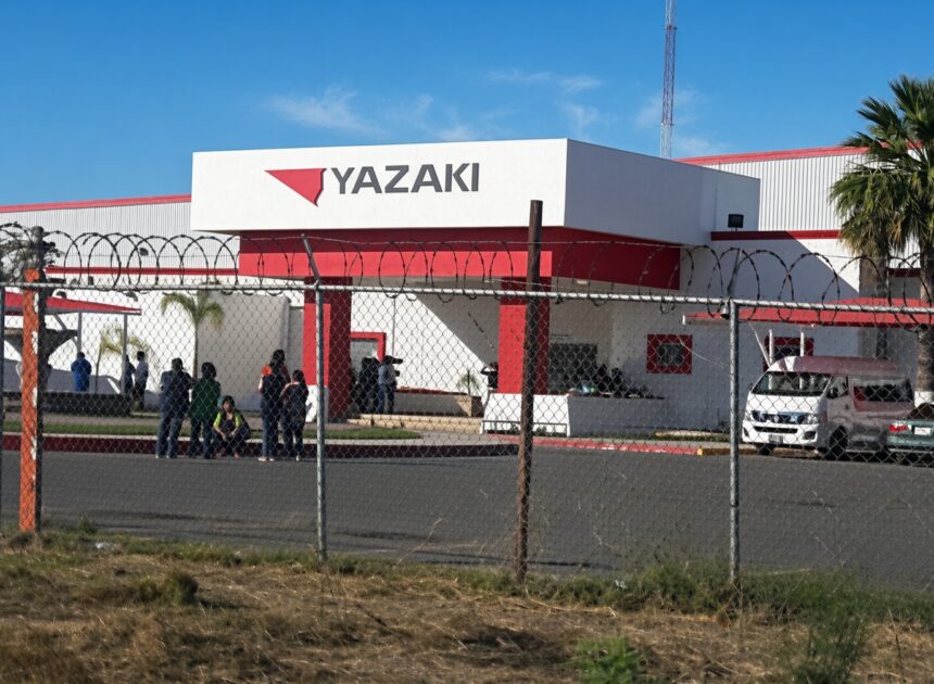 Yazaki inicia recorte en OBR