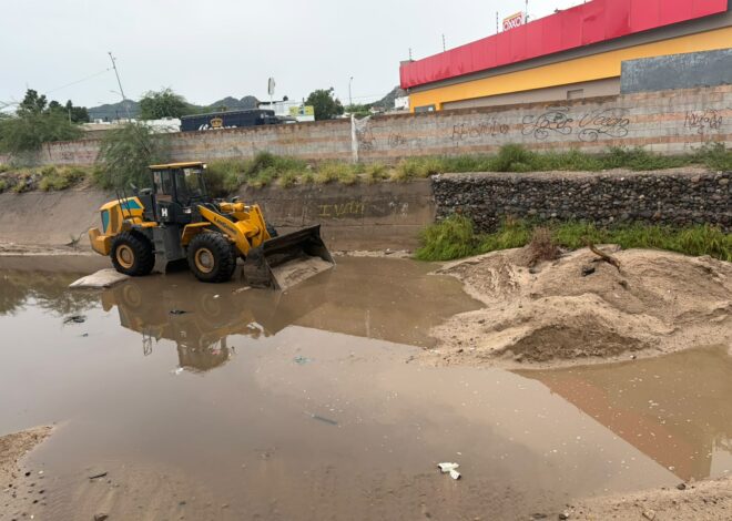 HMO no baja la guardia