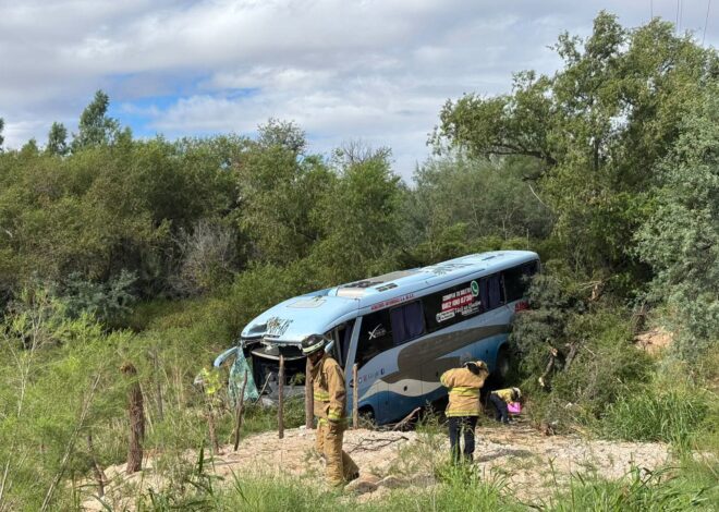 Autobús se sale de la carretera; abejas complican emergencia