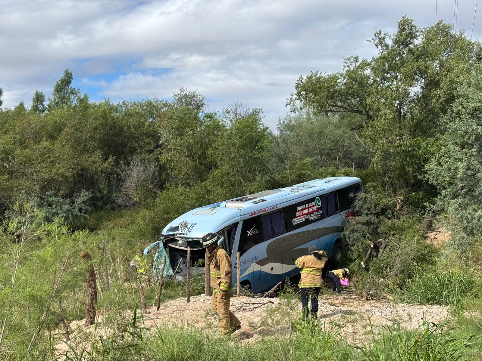 Autobús se sale de la carretera; abejas complican emergencia