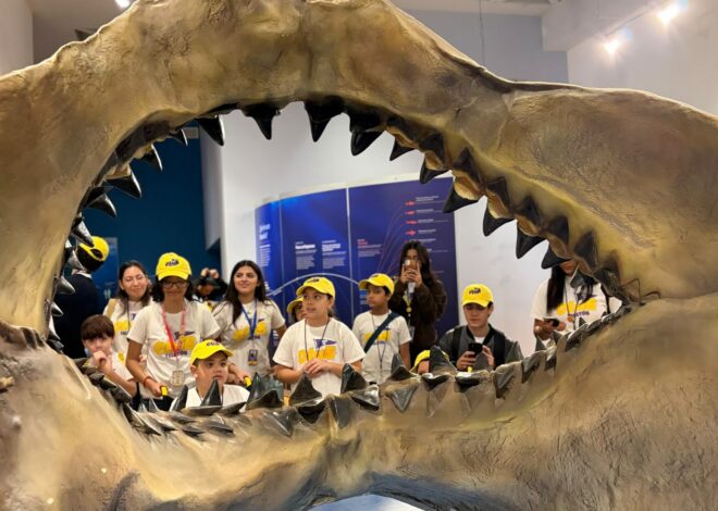 ¡Tiburones invaden HMO y rompen récord!