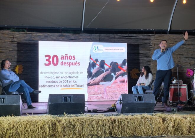 ¡Cócorit levantó el vuelo!