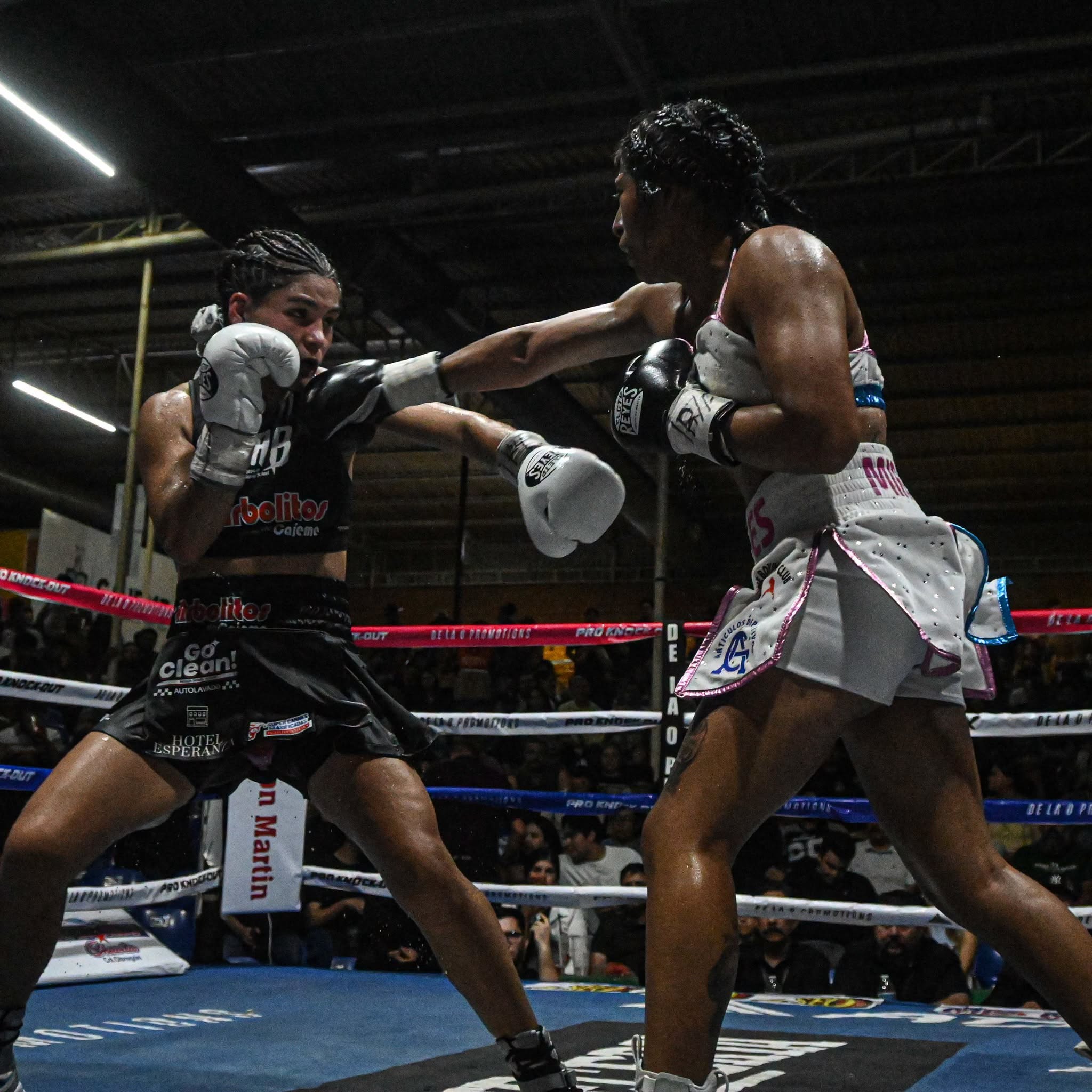 ¡Gran noche de BOX! La Cobrita sigue invicta
